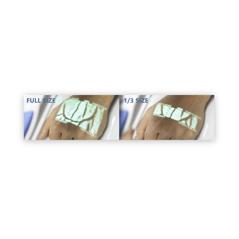 Handheld Vein Finder