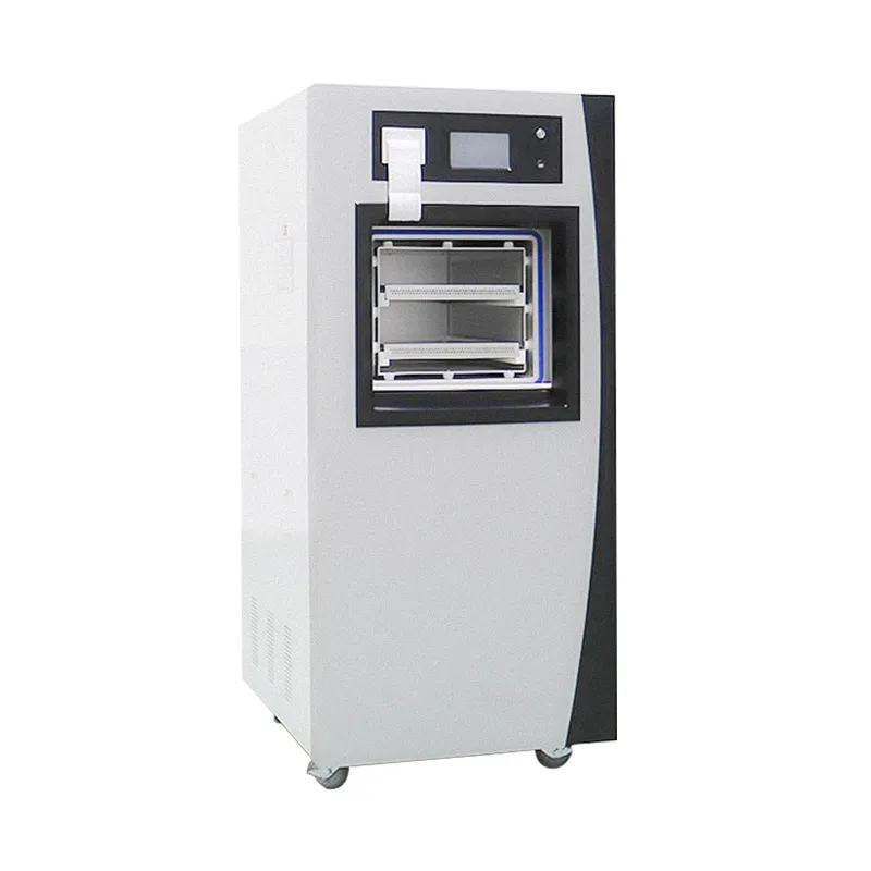 low temperature plasma sterilizer