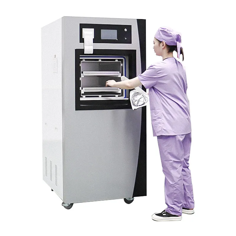 low temperature plasma sterilizer