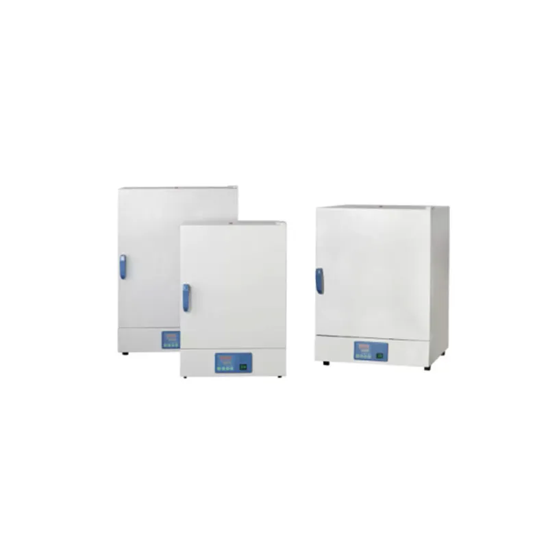 HSP-DHG(LED) Natural Convection Oven