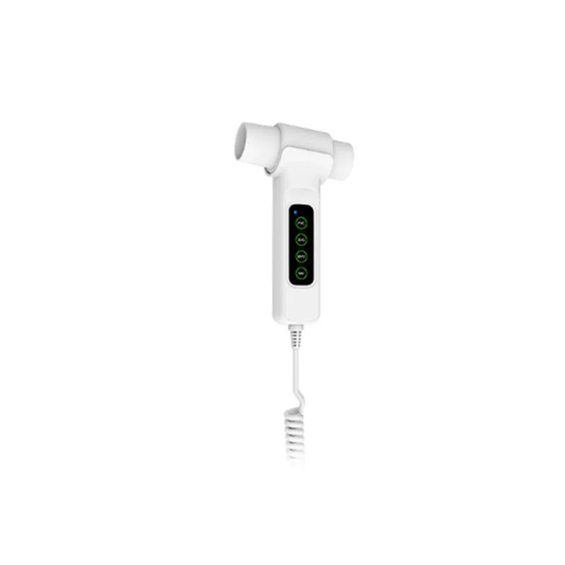 Handheld Spirometer 