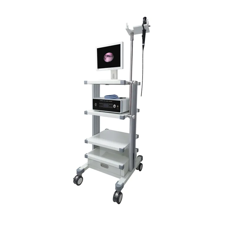 HSP-GBS9 Fiber Nasopharyngoscope