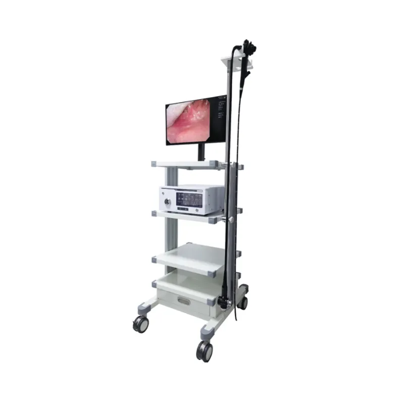 HSP-EVB5 Video Bronchoscopy