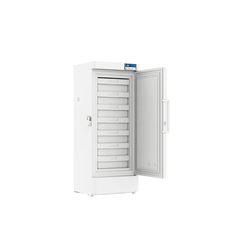 HSP-FL270 Laboratory -20&deg;C to -40&deg;C Ultra-Low Temperature Freezer 270L